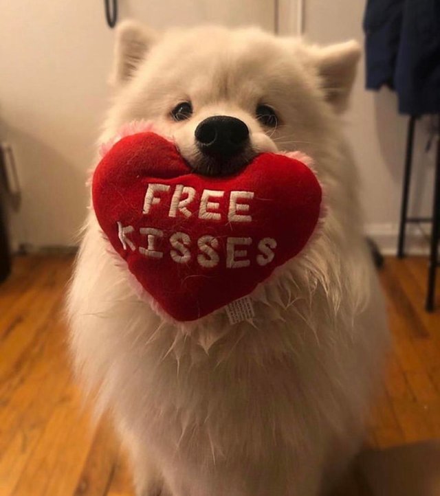 Kaykrisify's tweet image. Good morning! 😚 💜

We&apos;re finishing #Gris this morning! We&apos;re going to be starting and finishing two new games, #Event0 and #TheBeginnersGuide! Let&apos;s hang out~ 

twitch.tv/Kaykrisify 🥳