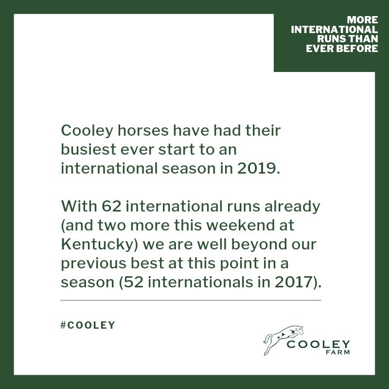 Cooley Sport Horses (@cooleyhorses) on Twitter photo 