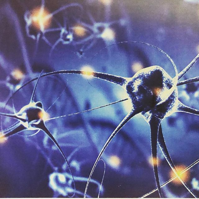 SpatialSurvey's tweet photo. Hearing all about #neuroscience behind our behaviours and communication. -
-
-
-
#behaviourmanagement #successmindset #communication #brain #limitedbeliefs #function #womeninconstruction #womeninengineering #wiceawards #fascinating #research #changehowyouthink #research #min… https://t.co/3ABoFNLUst