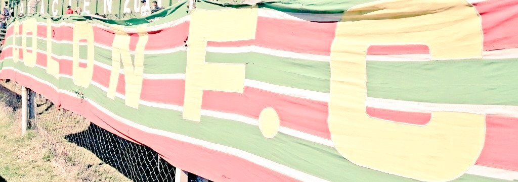 COLON S.A.D. tweet media