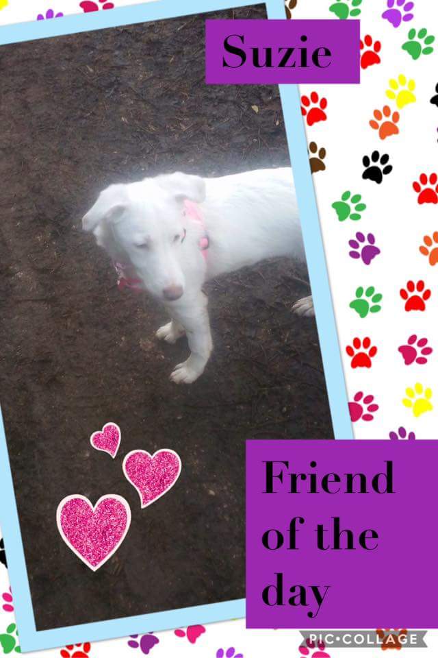 katherine lowe (@kracky) on Twitter photo 