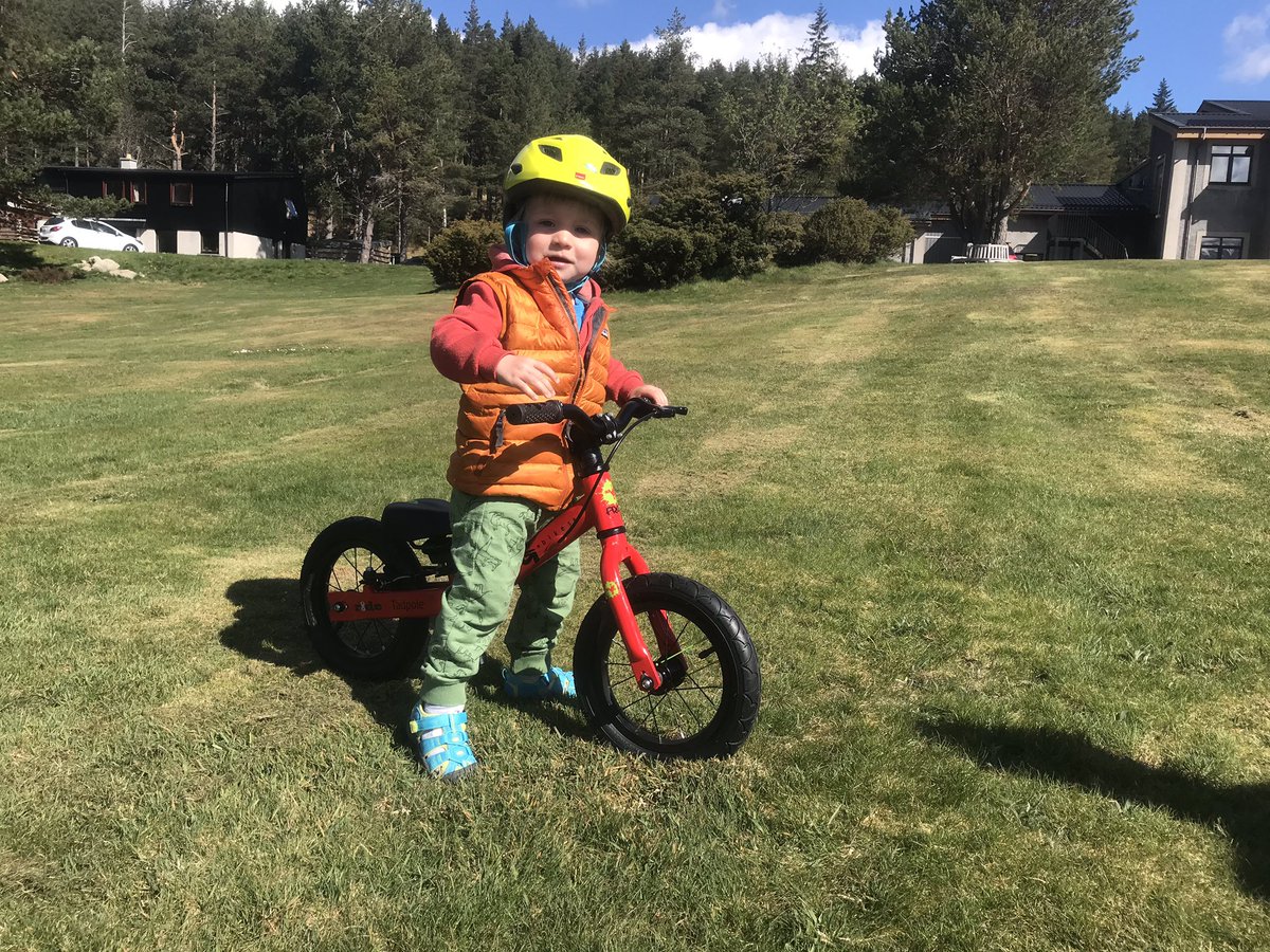 tabamountains's tweet photo. New bike day! She’s going to be shredding the trails in no time. @frogbikes @ridecairngorm @patagonia #frogbikes #kidsthatshred #newbikeday #littleripper #mtb https://t.co/38fIHfNlQE