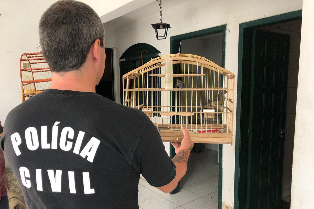 Polícia Civil apreende 250 animais silvestres em Curitiba e região  - seguranca.pr.gov.br/modules/notici…
