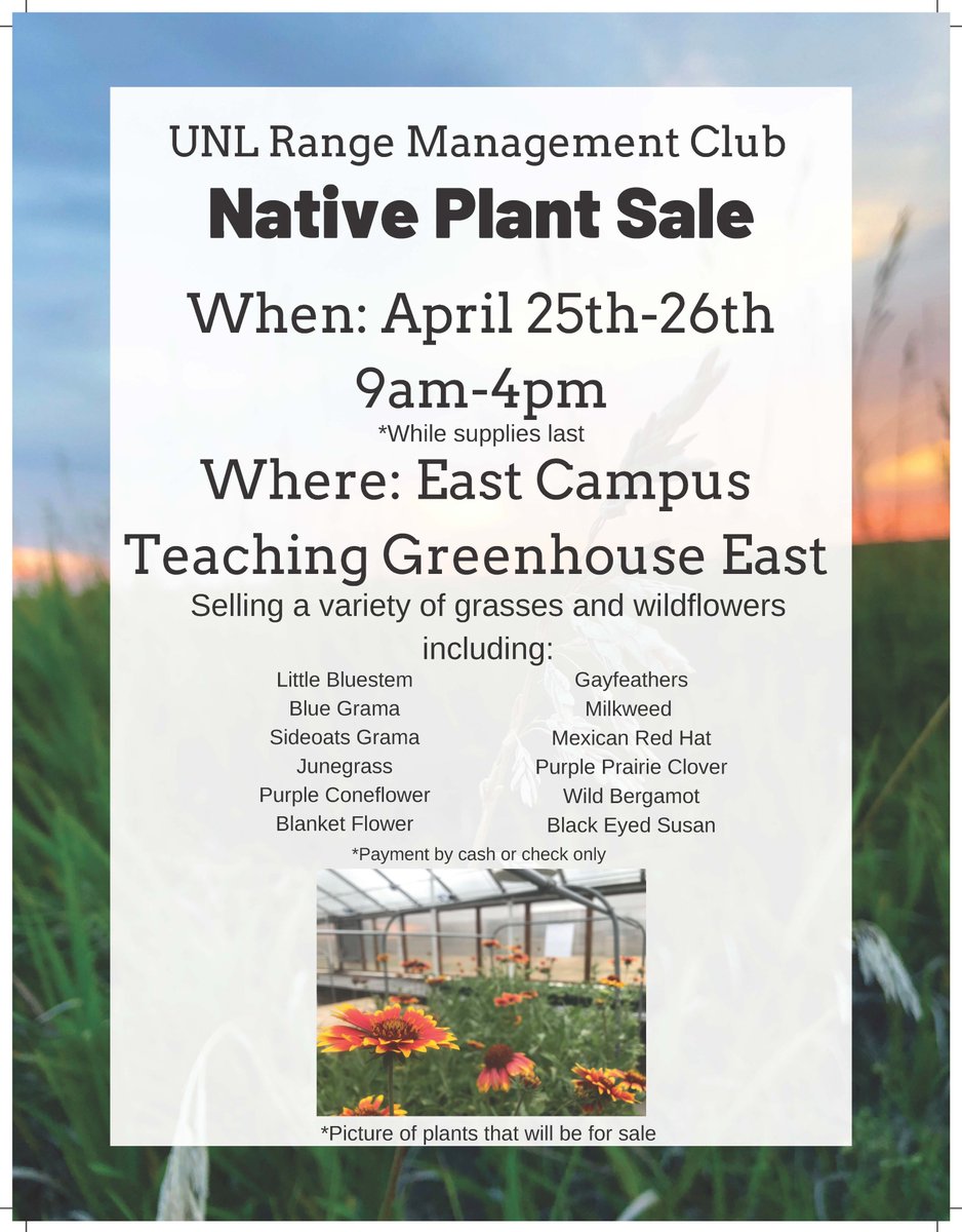 TODAY!!!  Native #Plant sale fundraiser for our #UNL #Range Management Club.  April 25th and 26th!  9am-4pm while supplies last. @unlgrazing <a href="/unlagrohort/">Nebraska Agronomy and Horticulture</a> <a href="/UNLSNR/">Nebraska SNR</a> #NativeGrasses #NativeForbs