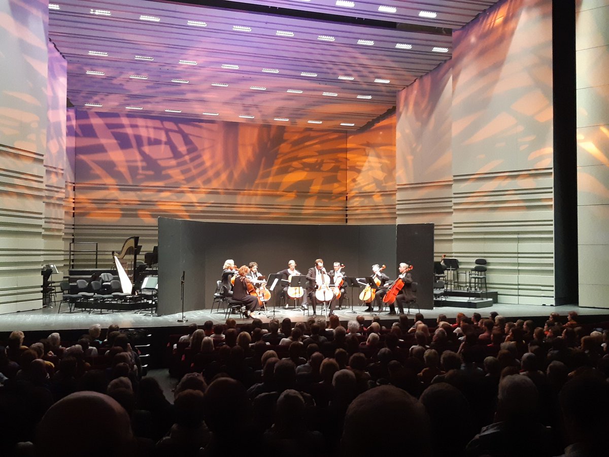 Pogotango tweet media