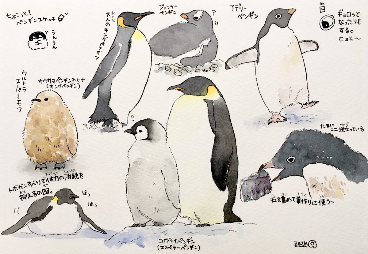 るるてあ בטוויטר 世界ペンギンの日 とっても楽しかったー 私も少しだけペンギンの絵を描いてみました タグを使ってくださった皆様 タグの イラストを描かせてくださったtwitterさん ありがとうございました 世界ペンギンの日 世界ペンギンデー ペンギンの日