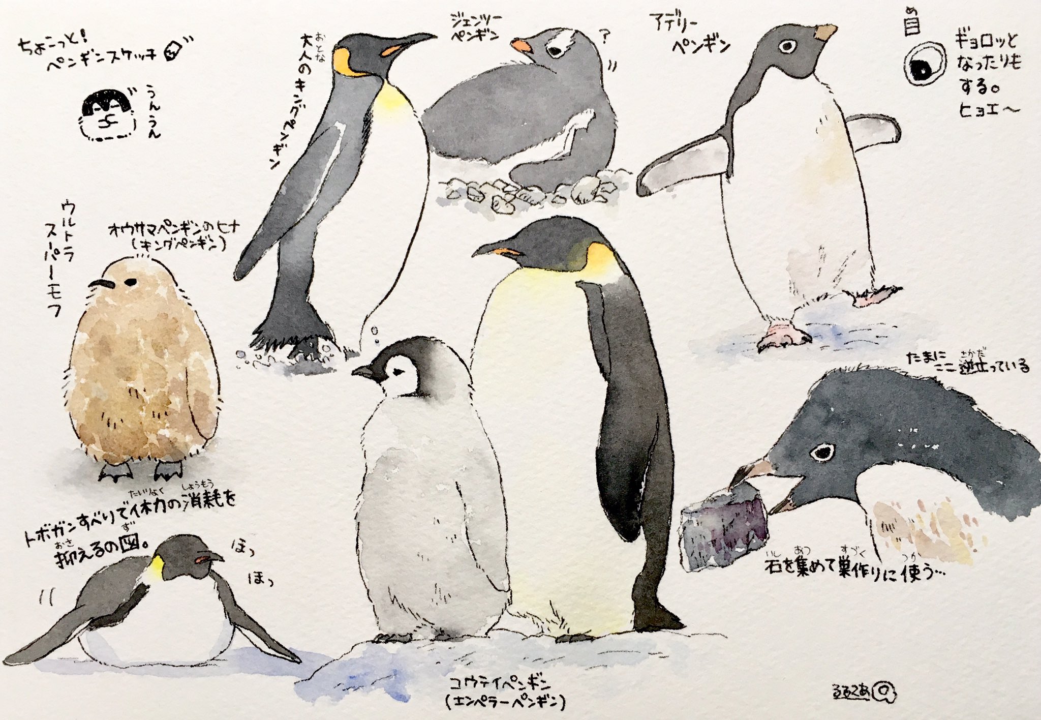 るるてあ 世界ペンギンの日 とっても楽しかったー 私も少しだけペンギンの絵を描いてみました タグを使ってくださった皆様 タグのイラストを描かせてくださったtwitterさん ありがとうございました 世界ペンギンの日 世界ペンギンデー ペンギン