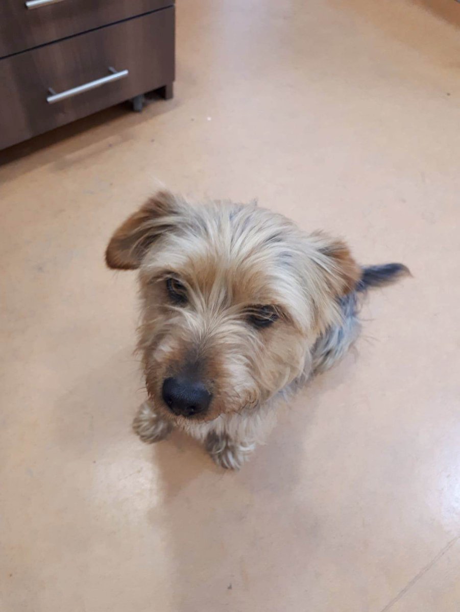 Waterford Healing Arts tweet media