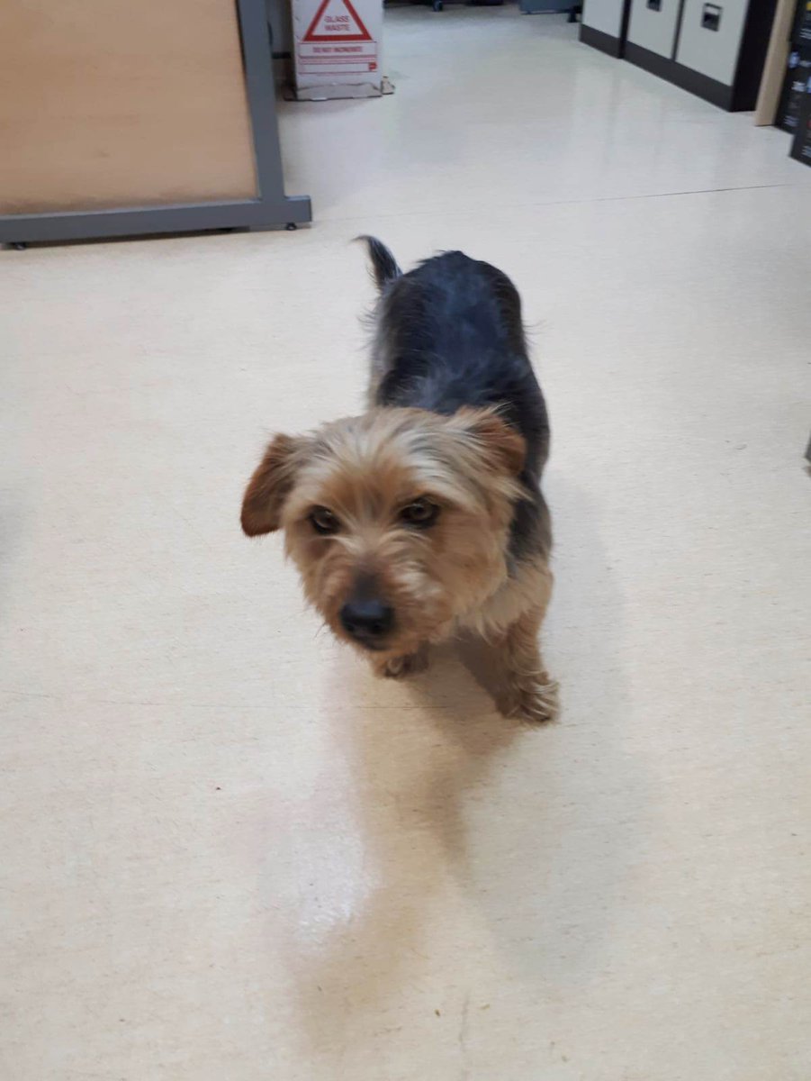 Waterford Healing Arts tweet media