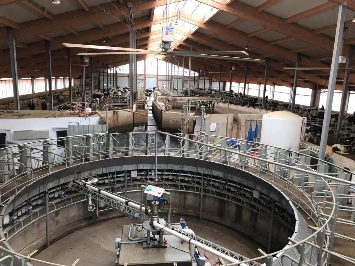 At New Land Farms near Hunter River overlooking the 40 stall rotary parlour on Tour Day. ⁦<a href="/HolsteinPei/">2019 Congrès National Convention PEI</a>⁩ ⁦⁦<a href="/HolsteinCanada/">Holstein Canada</a>⁩