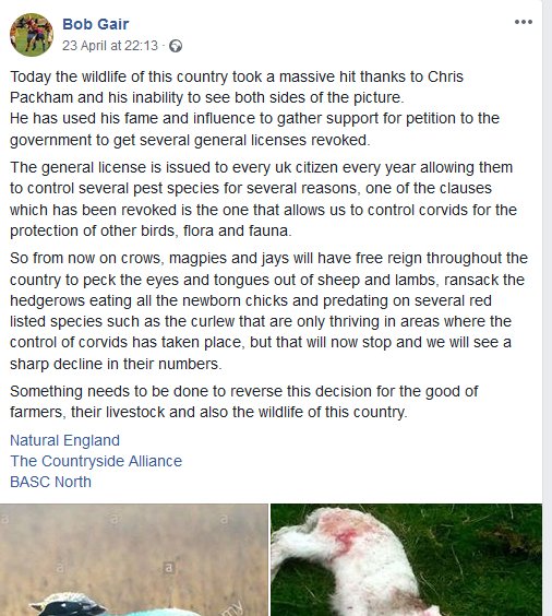 Sandy Cristel ☼ tweet media