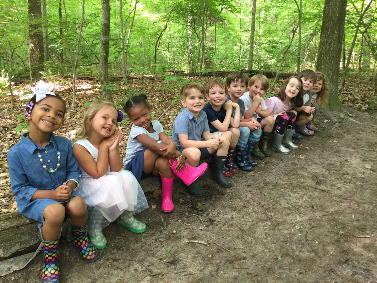 Frogs on a log in Discovery Woods. ⁦#exploring <a href="/TrinityFrogs/">Pam Lauer</a>⁩ #trinitylearns