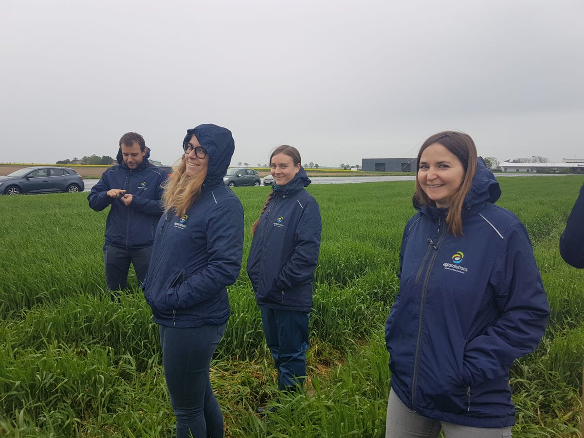 agrosolutions's tweet image. Par ces temps de sécheresse, les équipes @agrosolutions profitent de la pluie... Et la septoriose aussi ! Merci à @Terrasolis_ pour la visite☂️💦🚜 #Terralab @val_epi @ServtecPvNORIA @ValdeGascogne @DijonCereales