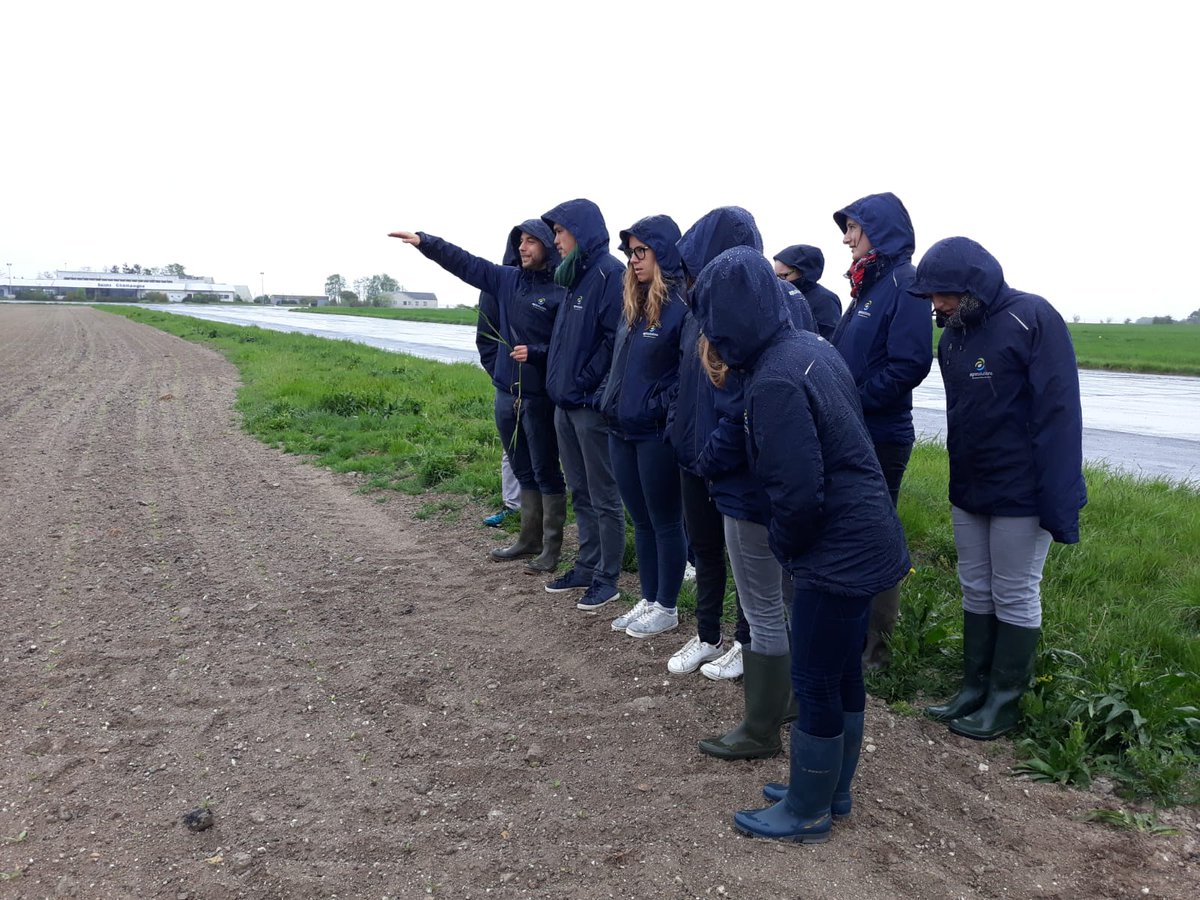agrosolutions's tweet image. Par ces temps de sécheresse, les équipes @agrosolutions profitent de la pluie... Et la septoriose aussi ! Merci à @Terrasolis_ pour la visite☂️💦🚜 #Terralab @val_epi @ServtecPvNORIA @ValdeGascogne @DijonCereales
