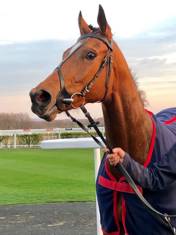 MountRacingNews's tweet photo. SylviaCliffs entered for us and @karl_burke at @Southwell_Races next Wednesday 1st May 🏇🏼🏇🏼🏇🏼
#LoveRacing #GetInvolved https://t.co/n2WSAUUgb2