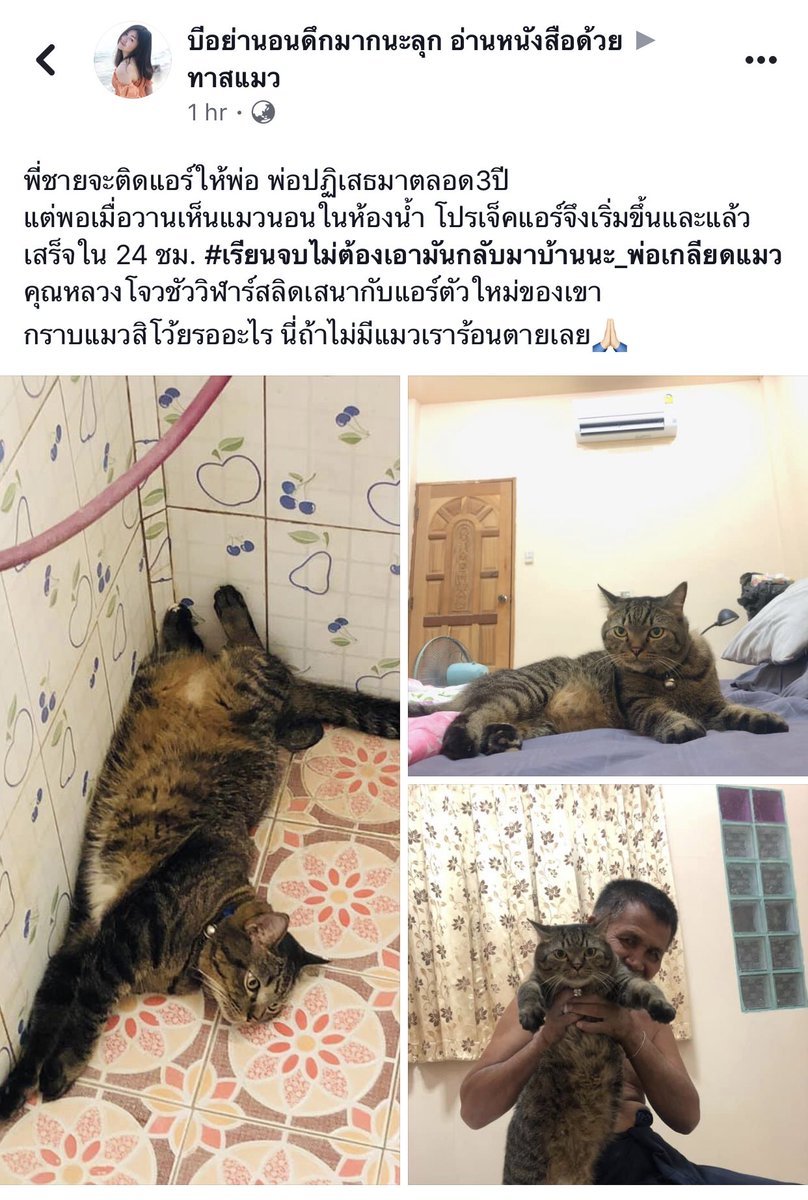 magicbelle__'s tweet photo. น่ารักมาก ตลกด้วย พ่อไม่ยอมติดแอร์มาตลอด 3 ปีสุดท้ายยอมติ��เพราะเข้าไปเจอแมวนอนในห้องน้ำ 55555555555555555555555555555555555555555เอ็น55555555555555555555ดู55555555555555555555 https://t.co/RooKDyYxGf