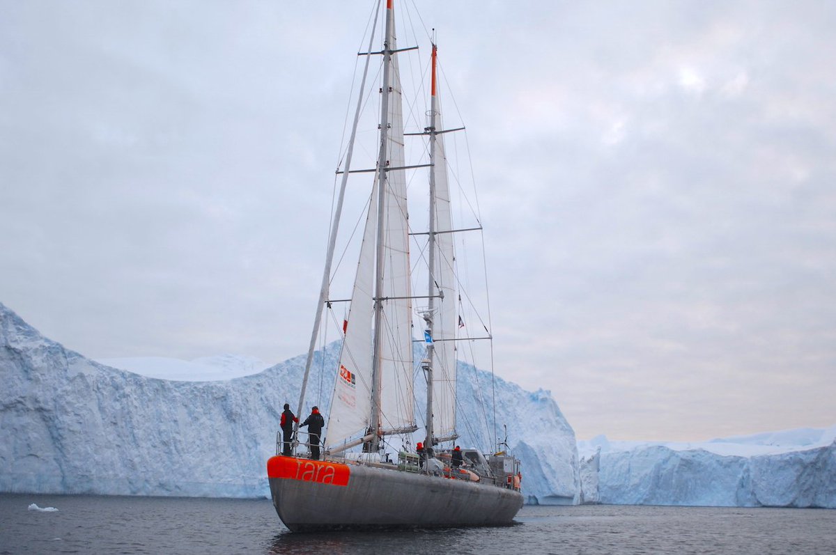 https://twitter.com/TaraExpeditions/status/1121437893514485764