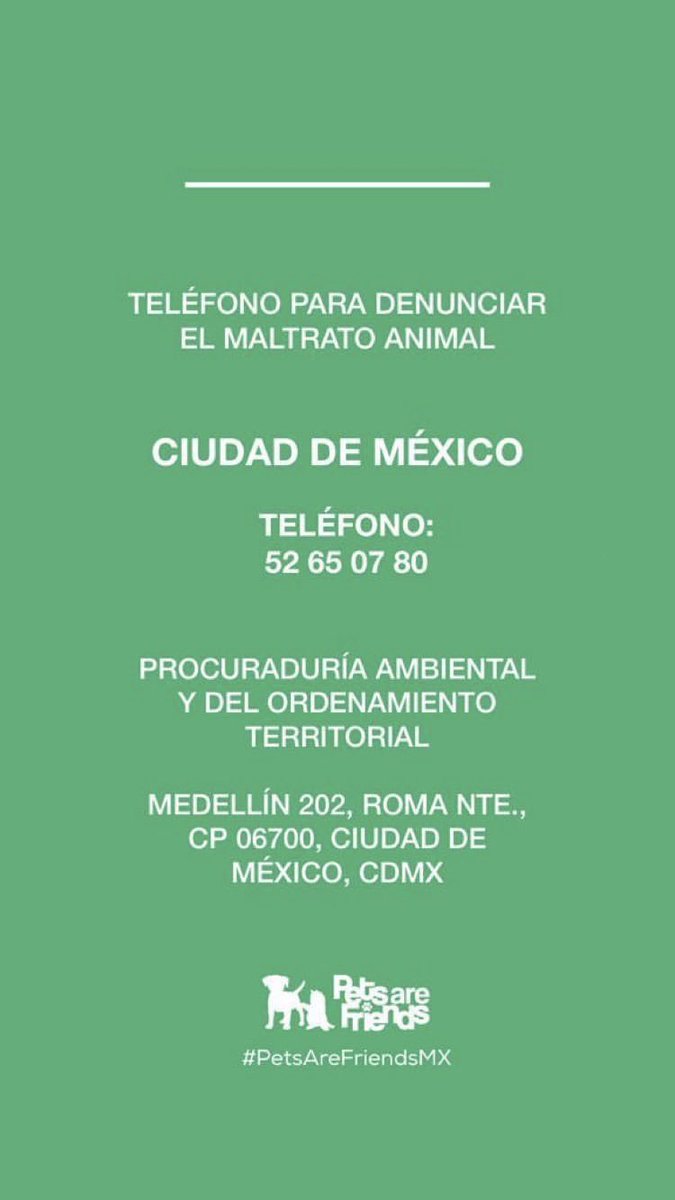 Amores_Perros_I's tweet photo. Amigos de CDMX ... denuncien #NoAlMaltratoAnimal https://t.co/wZBOoeT8SB