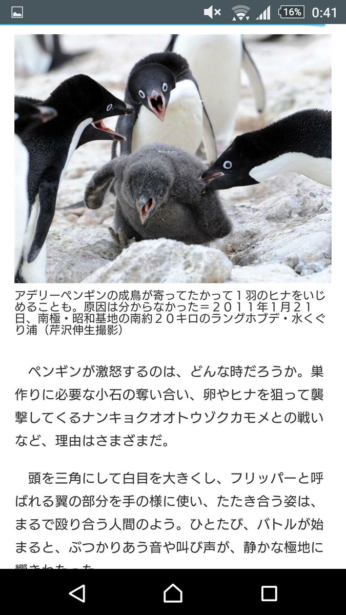 あのペンギン画像 の元ネタ写真からちょっと真面目な話に ネットで検索可能な形で過去記事を公開し続けるメディアは 現代史を支配できるのである ネットの ソースよこせ で出てくるのが産経だけ というのはすごくまずい Togetter