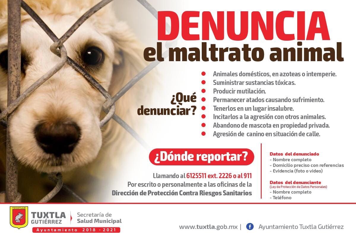 Amores_Perros_I's tweet photo. Amigos de Tuxtla Gutiérrez denuncien #NoAlMaltratoAnimal https://t.co/5SI8ueprGh