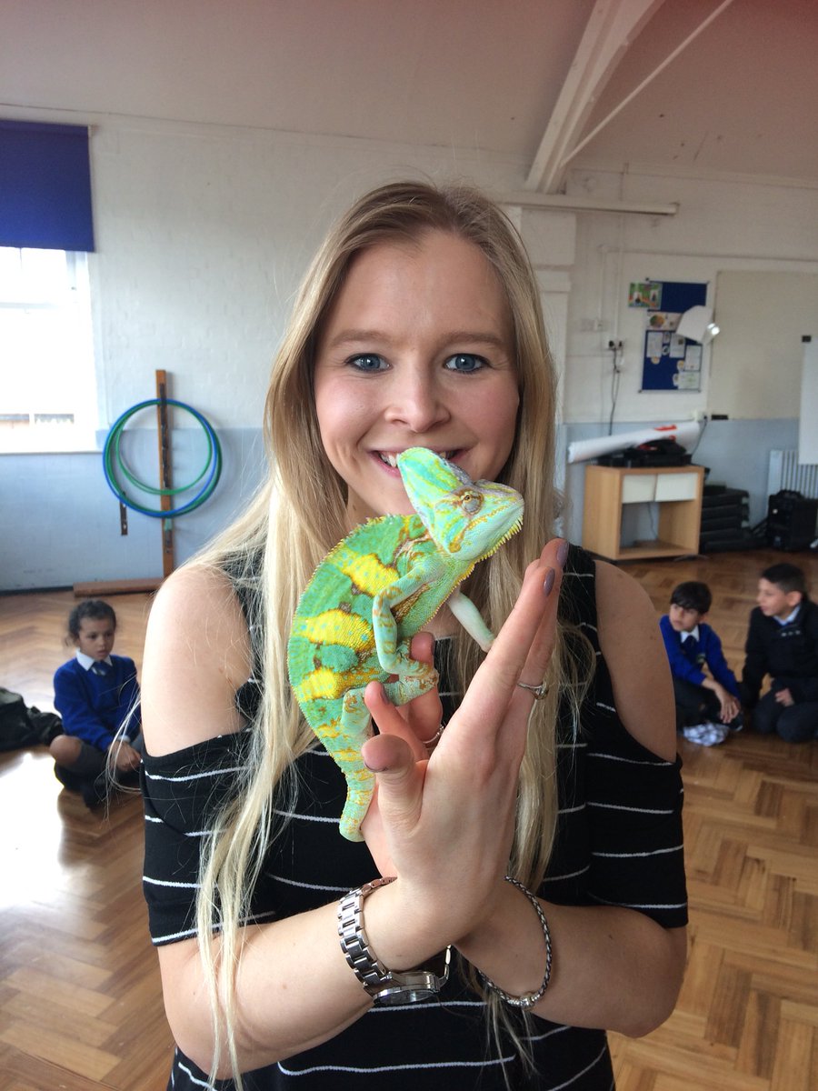 BevingtonRBKC's tweet photo. The staff at Bevington for wild today!😜 #safari #wild #animals #zoology #bevington #stem https://t.co/0187kN8TR6