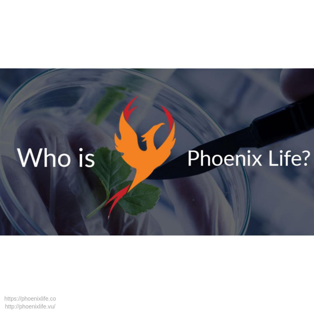 SciencesPhoenix's tweet photo. We are a global platform for the re-introduction of #organic, #plantbased #pharmaceuticals and programs for creating #healthcare solutions and reducing total cost of national healthcare programs. https://t.co/t9WHJ2QYbH