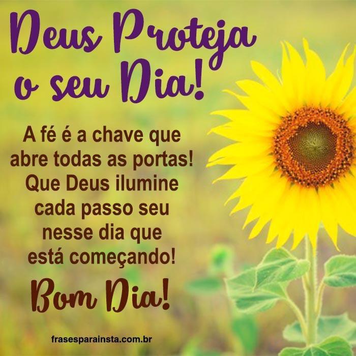 PCainim tweet picture