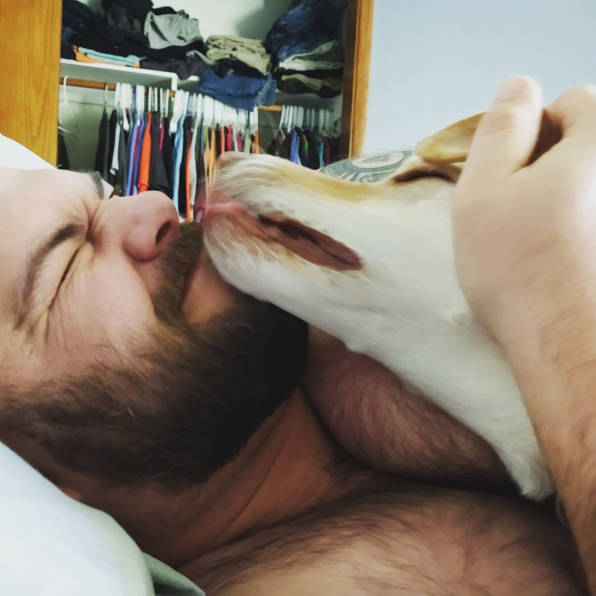 longleaf616's tweet photo. This is how John chose to wake Adam up this morning....lol
#journeysofjohn #servicedog #veteranservicedog https://t.co/lSbm2p8zjD