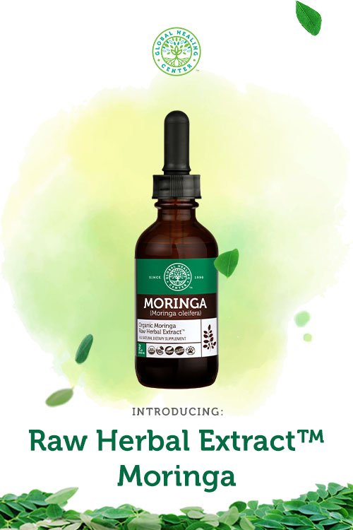dr_edwardgroup's tweet image. Elevate your health today with new Raw Herbal Extract Moringa. Learn more at: ghc.us/twml