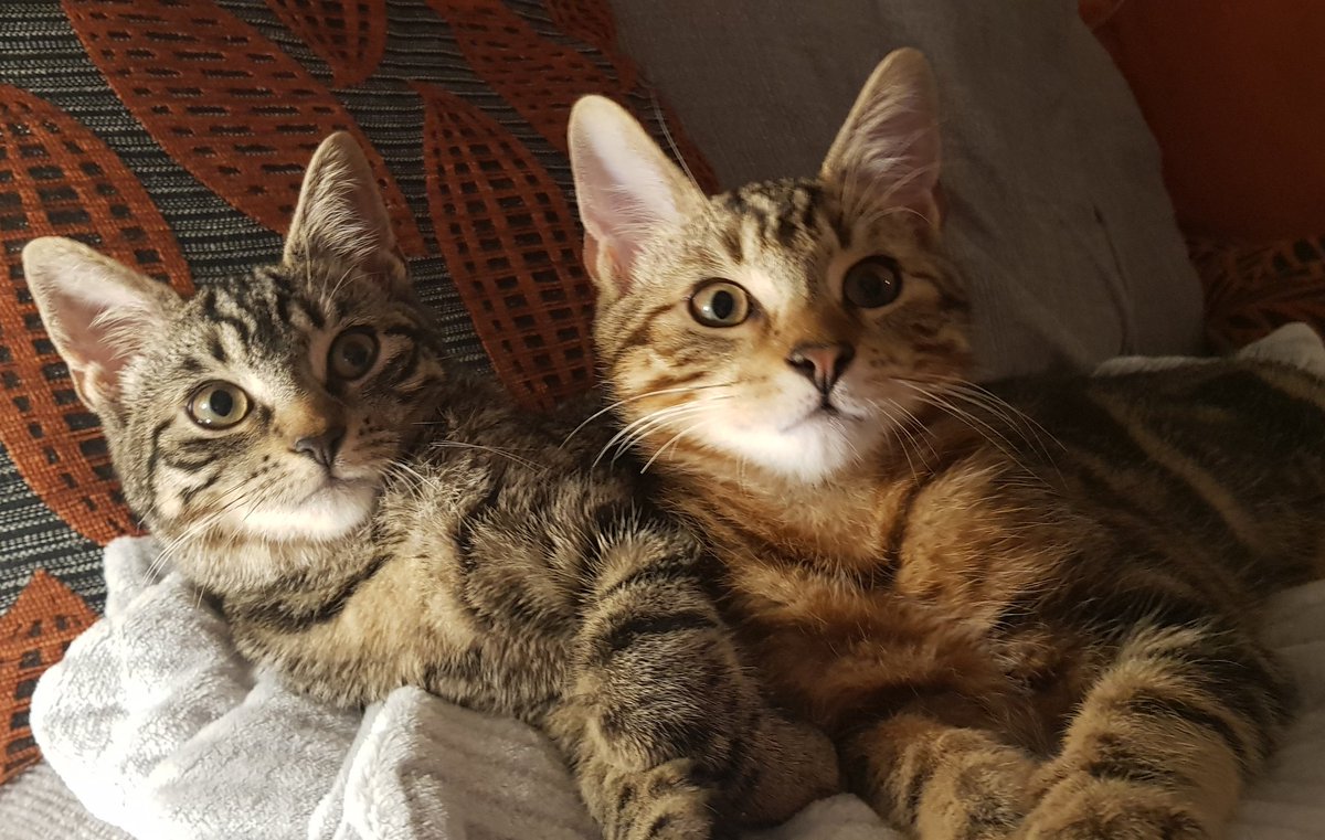 Tina Walker tweet media