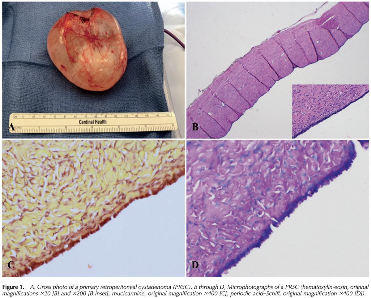 epub advanced biomedical image