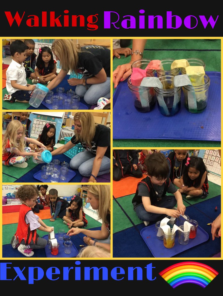 DanicaPetko's tweet image. We created a walking rainbow 🌈 on Pirate day and had the chance to check the results today. #scienceexperiment #mixingcolors #itreallyworked @davidbfrench @jehaws @ColombaraGrace @VBPreK
