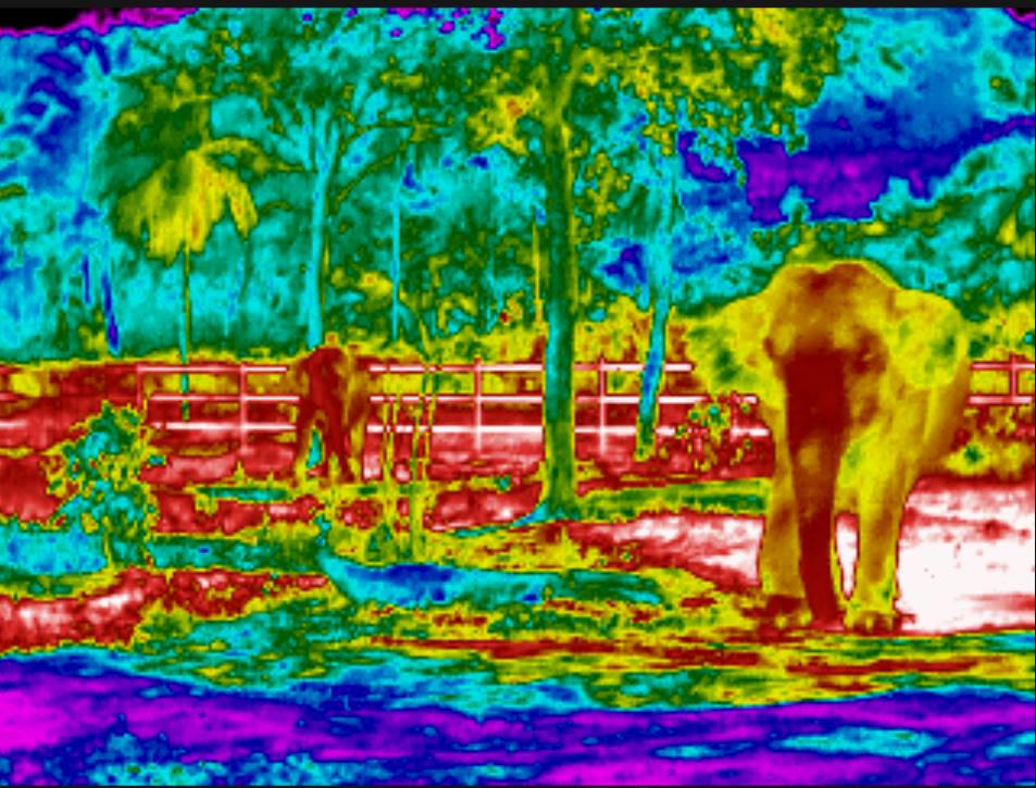 movitherm's tweet photo. Observing the Medical Needs of Elephants using Thermal Imaging #thermography #machinevision #veterinary
https://t.co/S4Ya1HDj0O https://t.co/R4NLGXvgly
