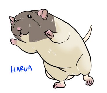 ラットが好きすぎるのtwitterイラスト検索結果 ラットが好きすぎるのtwitterイラスト検索結果