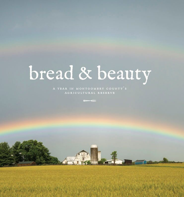 theliteraryhill's tweet photo. Come to #LHBF2019 on May 5 @EasternMarketDC and meet Claudia Kousoulas @appetitefrbooks  and Ellen Letourneau, the authors of this wonderful book, Bread and Beauty! https://t.co/KoygHiFopI