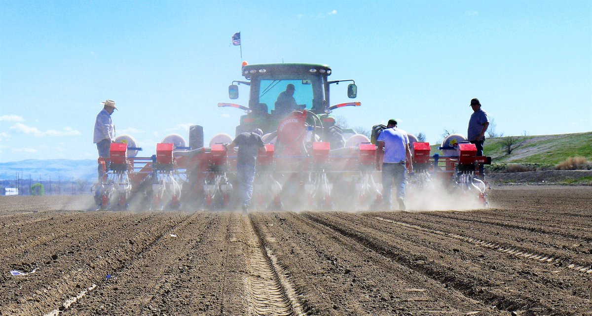USAOnions's tweet photo. Great weather and a great time of year! Finishing up planting for a new season that starts later this summer! #planting #growing #farming #healthy #onioncountryusa #farmlifebestlife #usaonions https://t.co/u6YhB0TP4a
