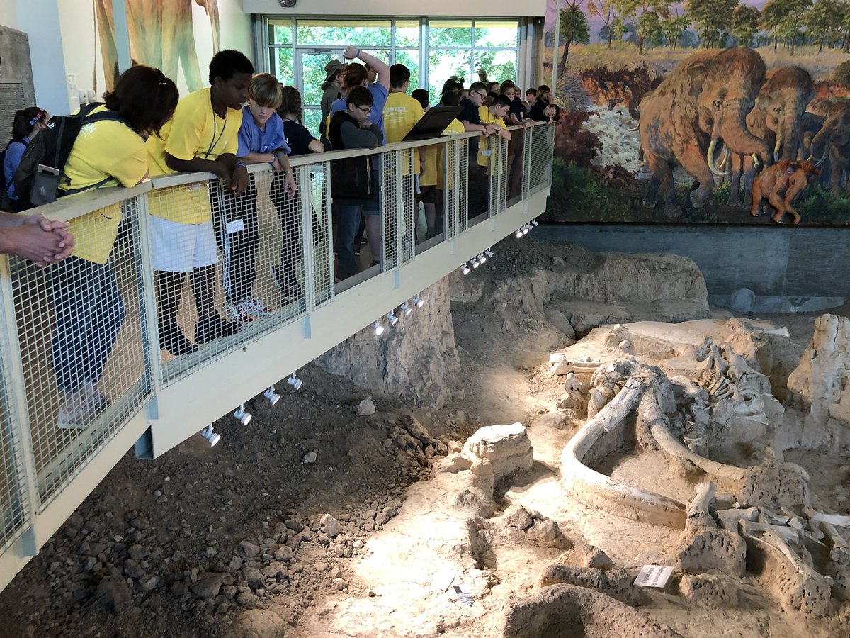 HVE_Bayer's tweet photo. Checking out the bones @WacoMammothSite “Oh wow, look at that femur!” #WaterRocks #LifeisGoodatHVE @HV_Vikings @Hackler_HVE @MrsDuermeyer https://t.co/eV9zmvCvJD