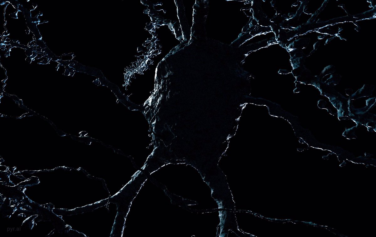 amyneurons's tweet photo. For all the people who have had a rough week like me, here’s a dark and eerie neuron. The good thing about bad times is the future is guaranteed to be better. https://t.co/xs9u8QwBGO