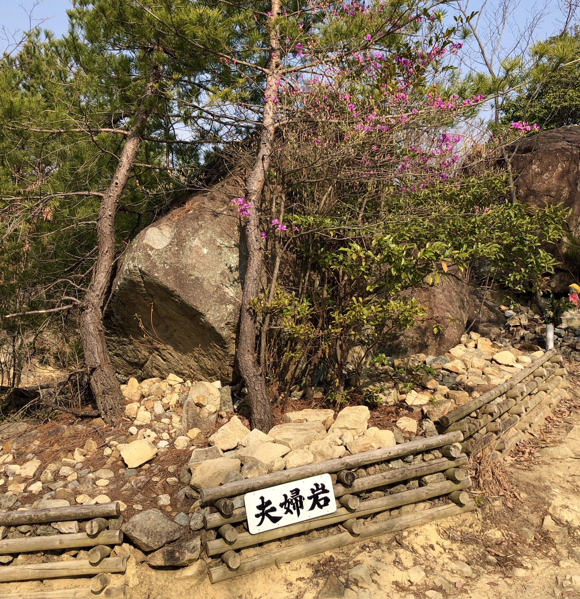 gyogyo_net's tweet photo. 中山の夫婦岩
https://t.co/rcmZedkUR1
#登山道 #夫婦岩 #岩 #巨石 #中山 #日本 #japan #兵庫県 #宝塚市 #登山 #ハイキング #mountainclimbing #hiking #中山寺 #ハイキングコース #hikingtrail #rock #奇岩 #strangerock #megalith #山 #mountain https://t.co/7HltN1wuFm