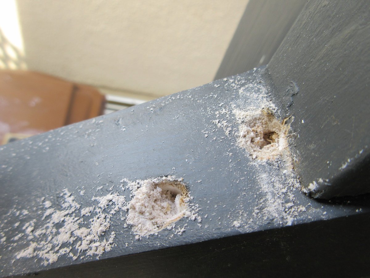 ShepBush12's tweet image. You can buy a new car with a 7 year warranty, costing less than 5% of the average house price. Compare this with the 2 year warranty on a #newbuild. Absolute farce. #NewHomesOmbudsman a necessity. I've spent my Easter holiday repairing #shoddy #CavannaHomes #bodgejobs.