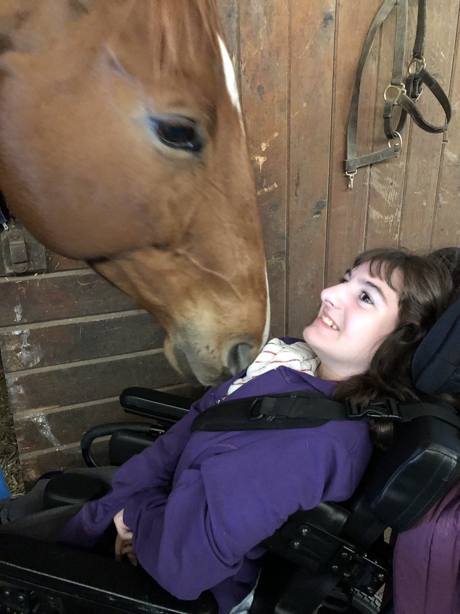 MissBworkerBees's tweet photo. All smiles on our Community Based Instruction trip today!!! Ss visited Safe Haven Horse Rescue to learn about how the horses are cared for and the importance of rescuing animals! #umsmds #horserescue #WSUP https://t.co/AloxD5YWhz