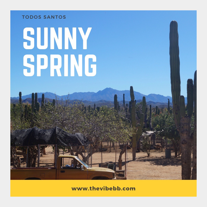 thevibebb's tweet photo. #tbt at our favorite town 🌵
Stay warm this Spring and the enjoy The Vibe! 
https://t.co/z3OW6S7czP
.
.
.
#thursday  #sunny #spring #todossantos #thevibe #bedandbreakfast https://t.co/M6Oi7etQtq