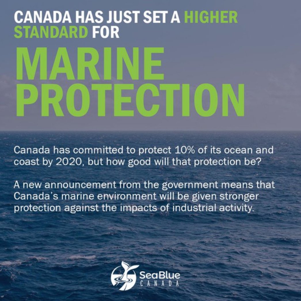 AHOI_NL's tweet photo. TODAY is a big day in @Canada for REAL #marineprotection. MPAs will now function like national parks, providing high level environmental protection &amp; prohibiting 4 key industrial activities: oil &amp; gas activities, bottom trawling, mining, &amp; dumping.💜👍👍🐳 https://t.co/qEpSWGdzaT https://t.co/qHsKpxh6JV