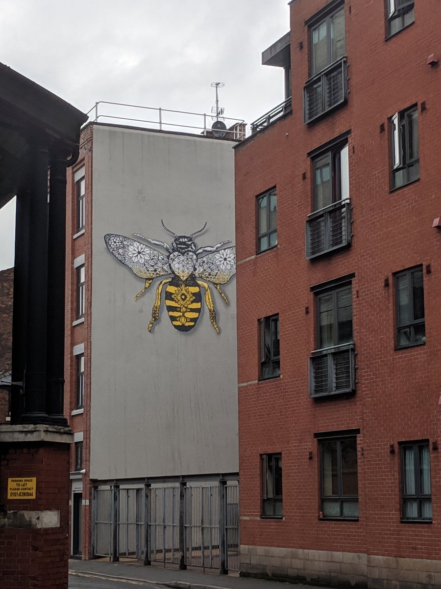 olliebear82's tweet photo. Great to spend this week with @ShelterManc really #inspired by the work and the desire to work in collaboration to #endhomelessness in #Manchester #beemanchester https://t.co/L7uXUN9pS1