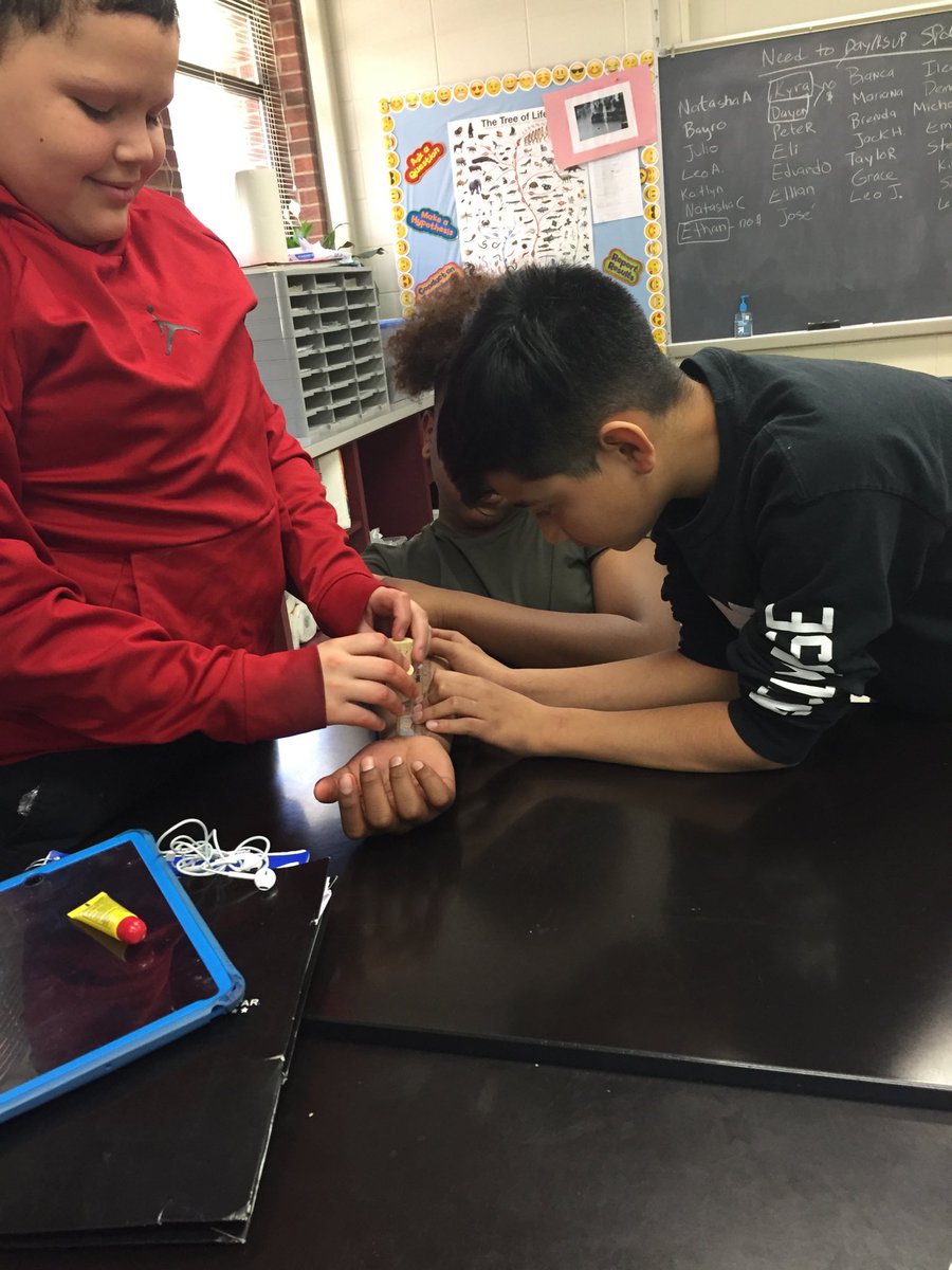 jenkahn56's tweet photo. Testing skin receptor sensitivity!  #rtslearns #d56achieves https://t.co/igQYizJsIK