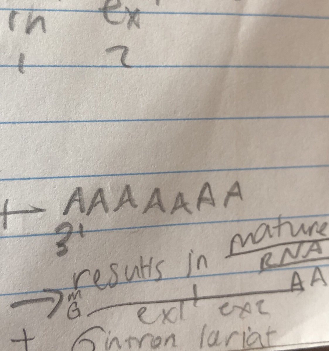 MittmanNicole's tweet photo. #105week15nhs19 @HobbsLabUNK  Looking through my lecture notes, I found something that accurately describes how I’m feeling about a final on Monday. https://t.co/Aa5nX68qO2
