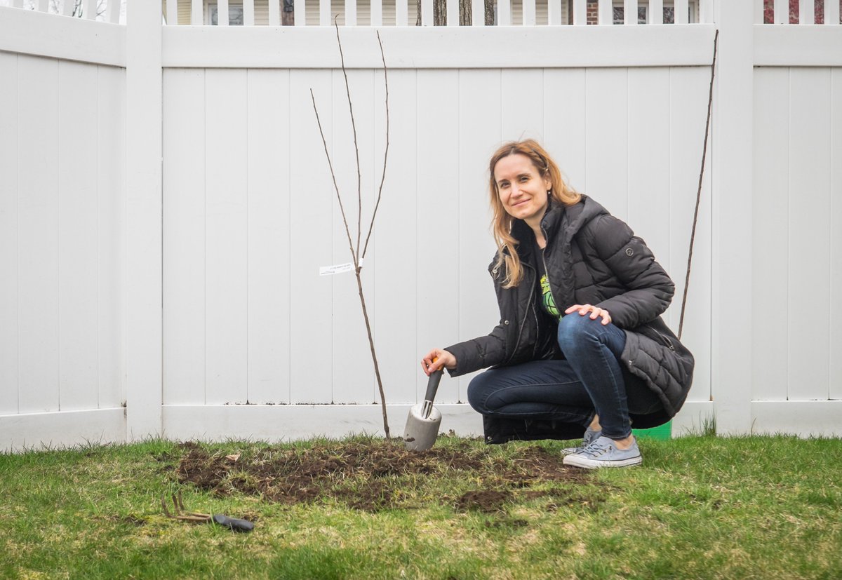 _Penelope's tweet image. The Best Time To Plant A Tree Is Now ♥︎ Join @arborday in planting, nurturing, and celebrating trees! #ArborDayTreeNursery #sponsored penelopesoasis.com/2019/arbor-day… Learn more here bit.ly/arborday_penel…