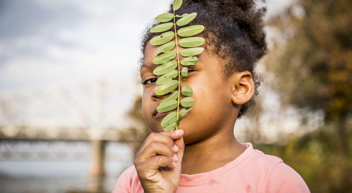 Nature_VA's tweet photo. With long summer days just around the corner, here are some thoughts on putting nature back into kids' daily routines. https://t.co/5tB3YhjbR4 https://t.co/LvVe8auRdU