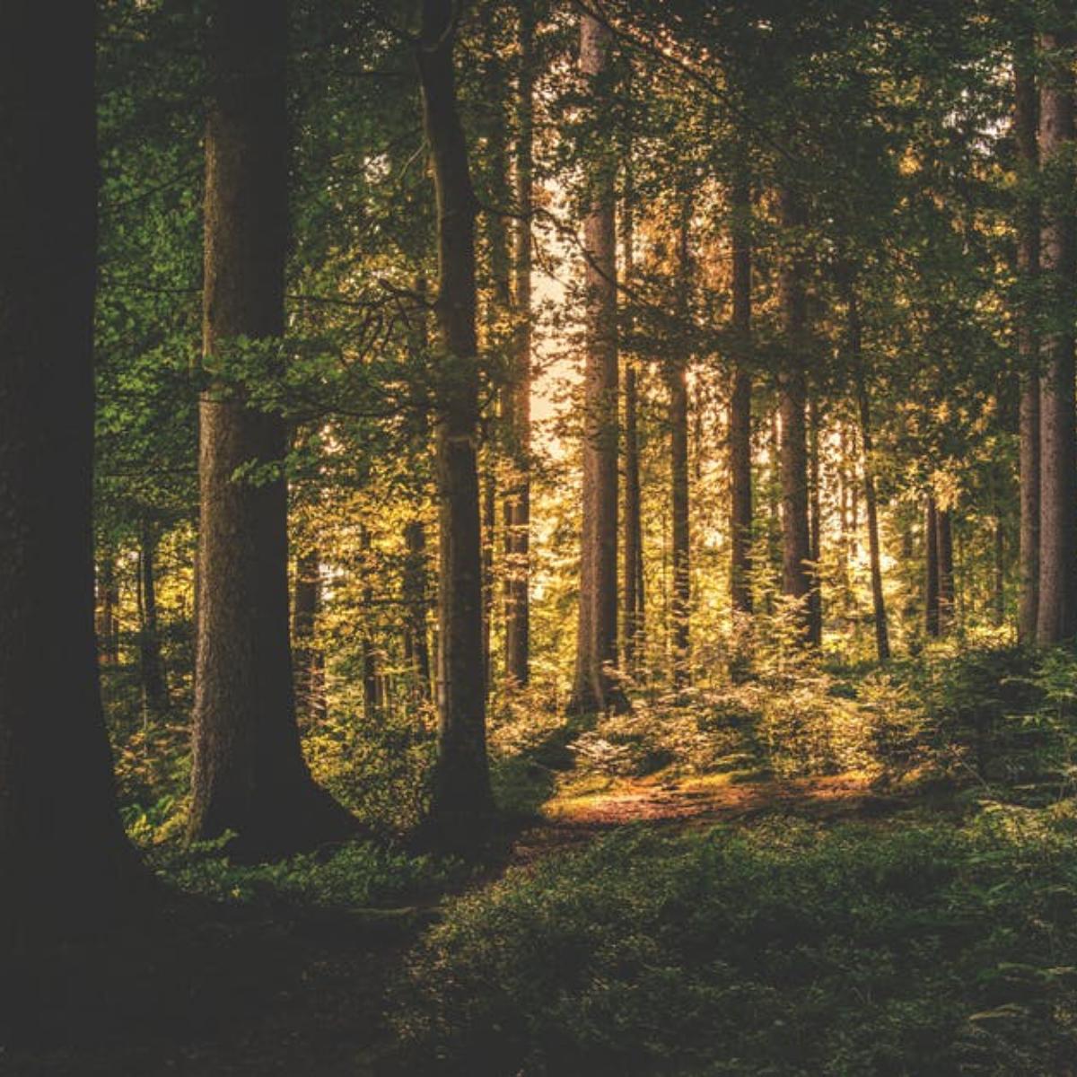 LaSurveying's tweet photo. The possibilities are endless. We're here to make your dream come true. https://t.co/mgL2vvgXei