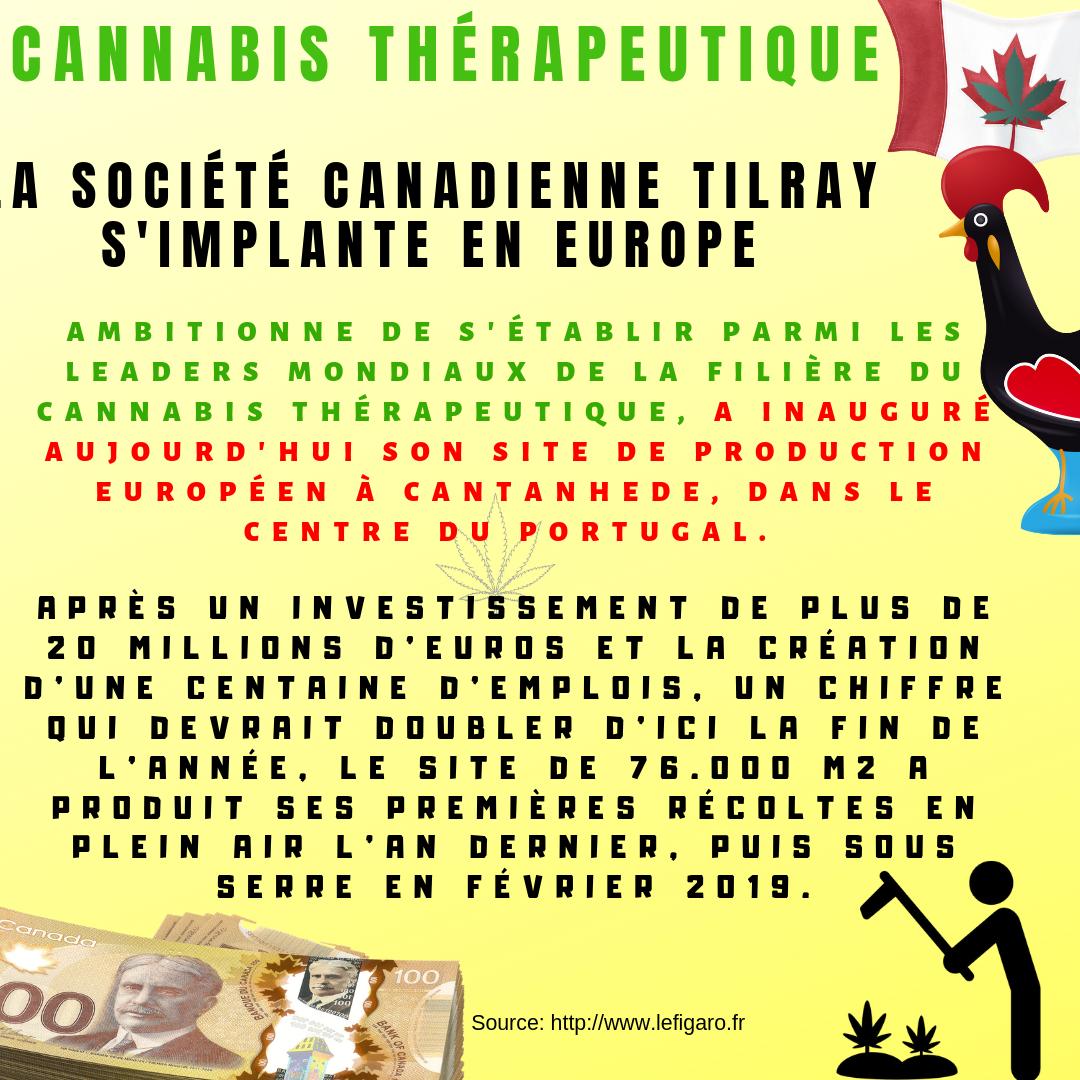 FrancophoneWeed's tweet photo. Source: https://t.co/1Cq3pwMsuU
Therapeutic cannabis: Canadian company Tilray expands into Europe
#terps #cbd #cannabidiol #cannabinoids #HEMP #grainesdecollection #weed  #chanvre #weed #cannabis #isolatecbd #hempseeds #spannabis #thc #CannabisNews #cannabis #cannabiscanada https://t.co/uXGwim7DTL